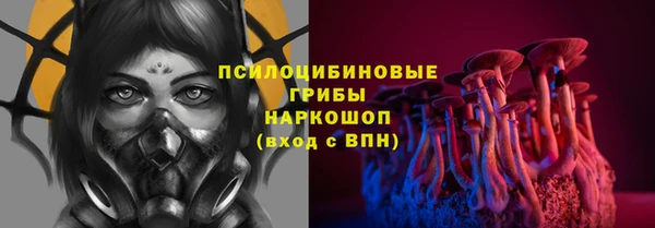 соль ск Горняк