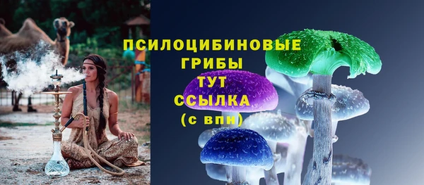 соль ск Горняк